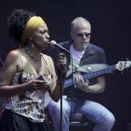 2024 12 17 SnHlive20111cAtzeGerringkomp