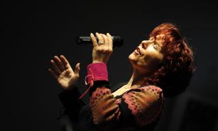 cropped DSC9251 e1484586278179 3